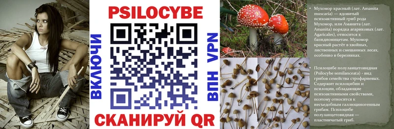 Купить закладки  Тавда  Галлюциногенные грибы мухоморы 